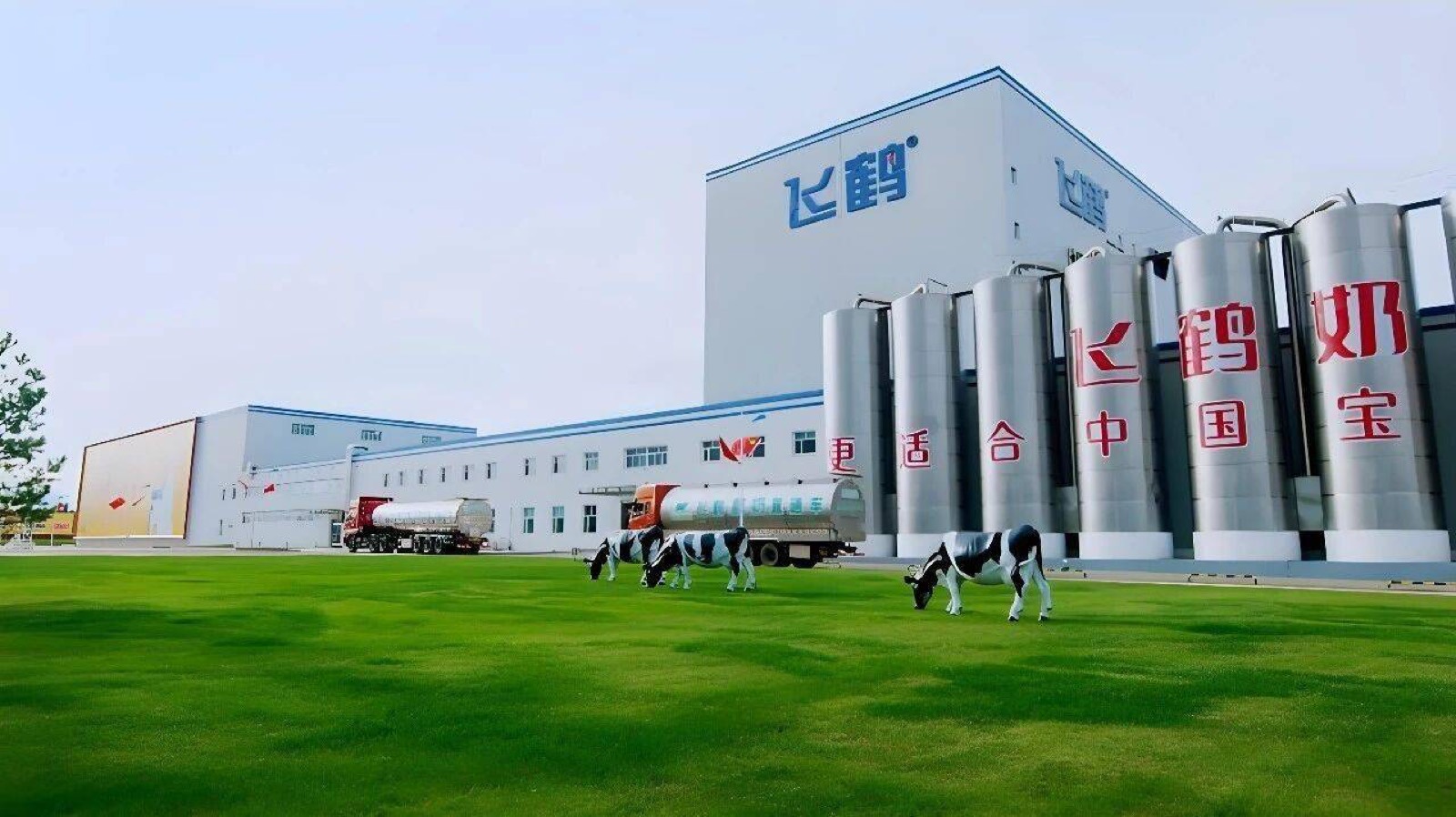 飞鹤乳业工厂实景